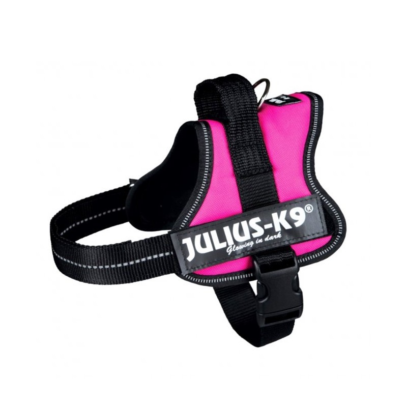 laten we het doen Behandeling Rubriek JULIUS-K9 MINI MINI M:51-67cm- FUCSIA