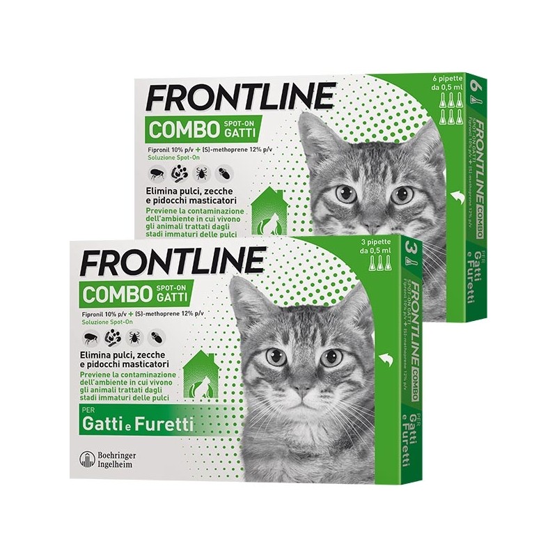 Maxim binnenvallen verjaardag FRONTLINE COMBO GATTO 6 PIPETTE