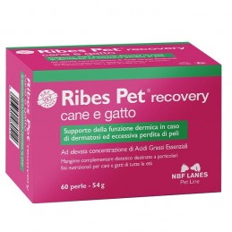 RIBES PET RECOVERY 60 PERLE