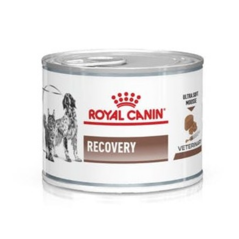 ROYAL DIET RECOVERY CANE E GATTO 195GR